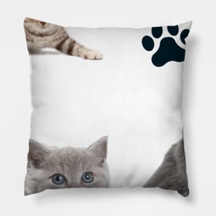 Awesome kitten cat love - cat lover pack Pillow