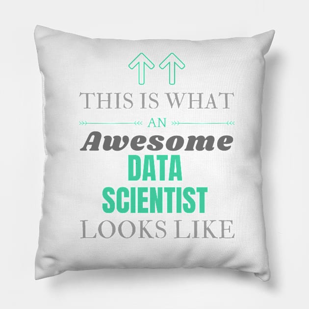 data scientist Pillow by Mdath
