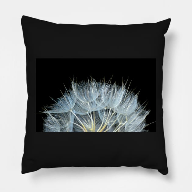 Wispy Pillow by LaurieMinor