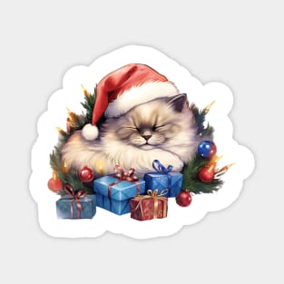 Lazy Ragdoll Cat At Christmas Magnet