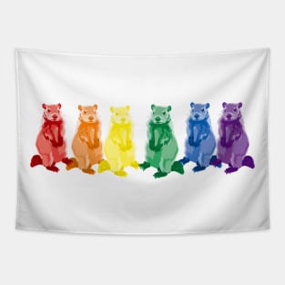 Rainbow Groundhogs Tapestry