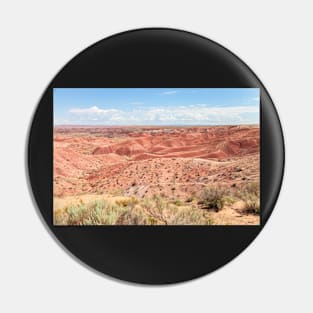 Painted Desert 2 Pin