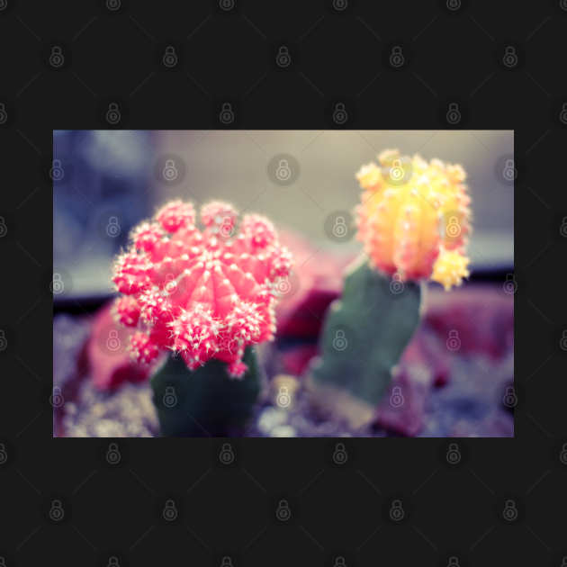 Funny cactuses by CreativeJourney