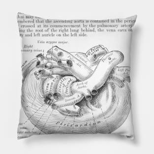 Antique Anatomy Papers Neck Gator Heart Surgical Anatomy Pillow