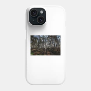 Light Through the Trees Phone Case