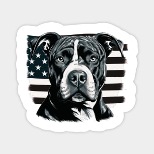 Pitbull with american flag Magnet