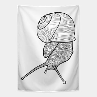 snail, black and white Tapestry