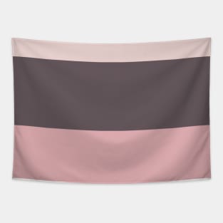 A gorgeous bind of Dirty Purple, Spanish Gray, Lotion Pink and Pale Chestnut stripes. Tapestry