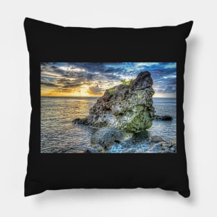 The Beast of Saint Lucia Anse Chastanet Anse Mamin Caribbean Pillow