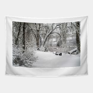 Winter scenery Tapestry