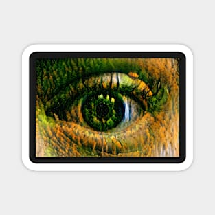 Eye of Autumn Magnet