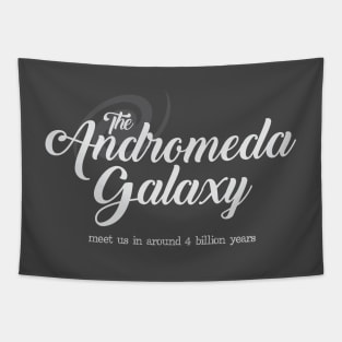 The Andromeda Galaxy Tapestry