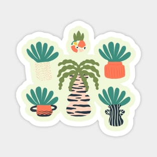 Stylish Plants in Pots Magnet