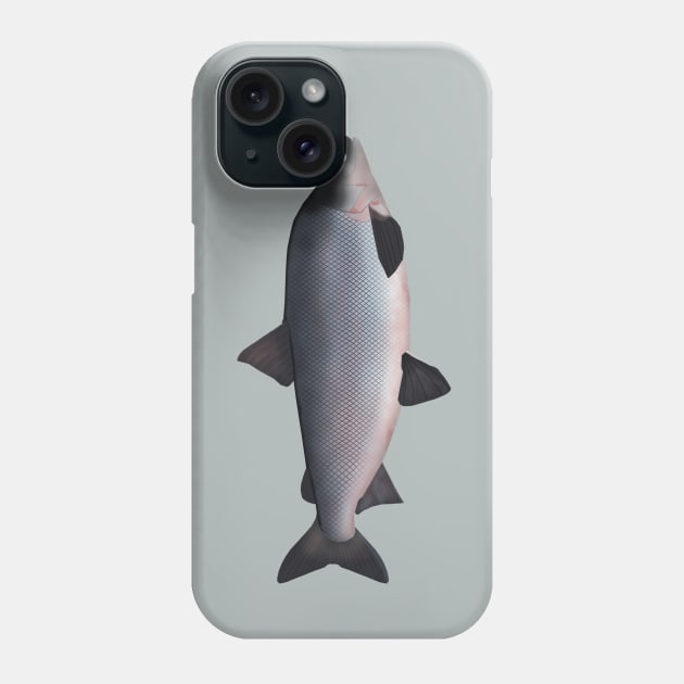 Humpback Whitefish Phone Case by FishFolkArt