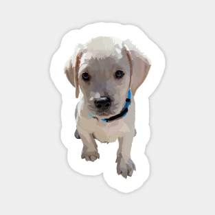 Lab Puppy 1 Magnet