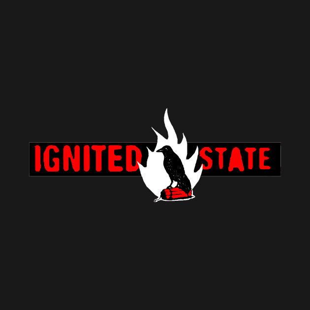 IgnitedState Logo by IGNITEDSTATE