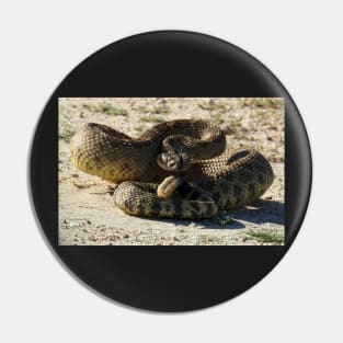 Rattlesnake, wildlife, Deadly Silence Pin