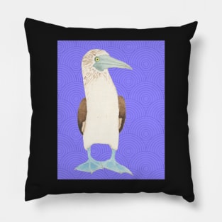 Blue Footed Booby Against Purple Background Pillow