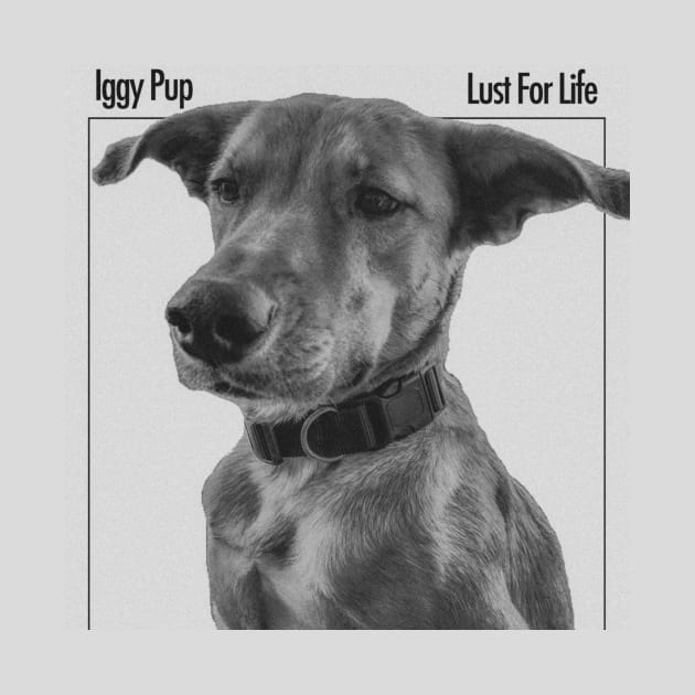 Iggy Pup: Lust for Life by Feel Feelings Podcast