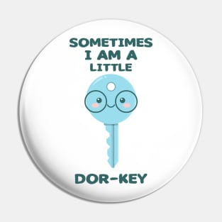 Doorkey Pin