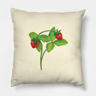 Wild strawberry (Fragaria vesca) - Illustration on beige background Pillow