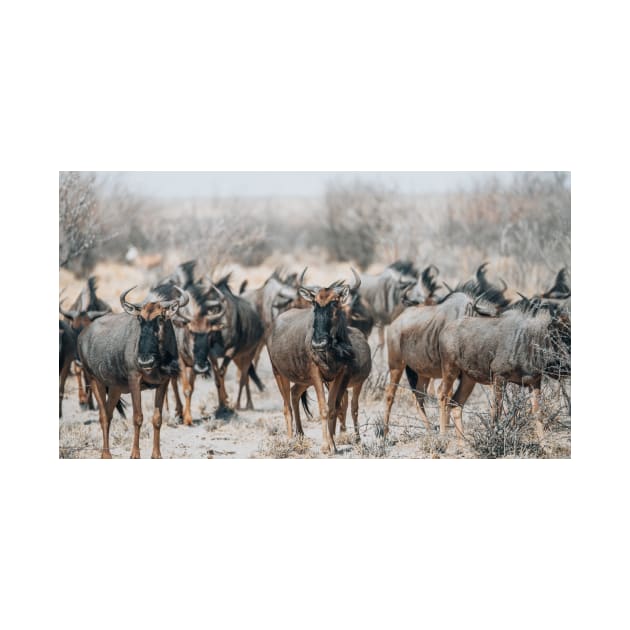 Blue Wildebeest by withluke