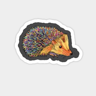 Rainbow Hedgehog-purple Magnet