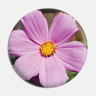 Pink Cosmos Flower Pin