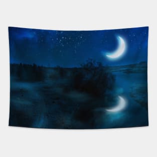 Crescent moon over valley Tapestry