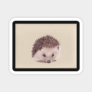 The Hedgehog Magnet