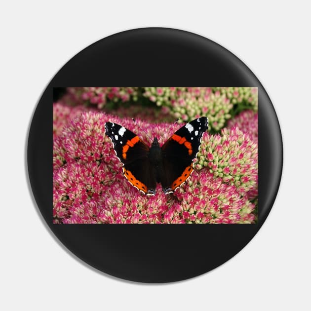 Red Admiral Pin by AH64D