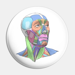 human body anatomy 1 Pin