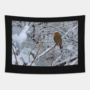 Cute robin Tapestry