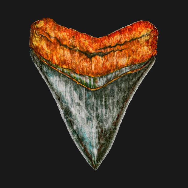 Megalodon tooth by Redmonks