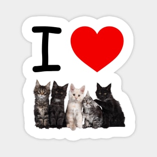 I HEART KITTENS Magnet