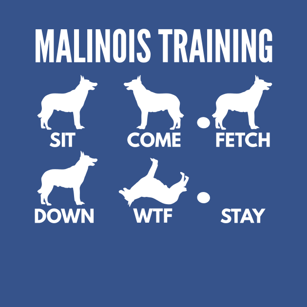 Malinois Dog Training Malinois Dog Tricks by DoggyStyles