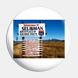 welcome to seligman Pin