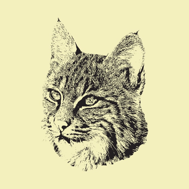 Bobcat 2 by Guardi