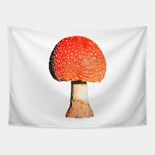 Orange Mushroom Amanita Tapestry