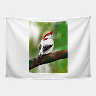 Araripe Manakin Tapestry