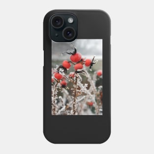 Frost on Rosehips Phone Case