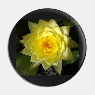 Yellow Lotus of Your Heart Pin