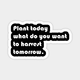 Plant today what you want to harvest tomorrow Magnet