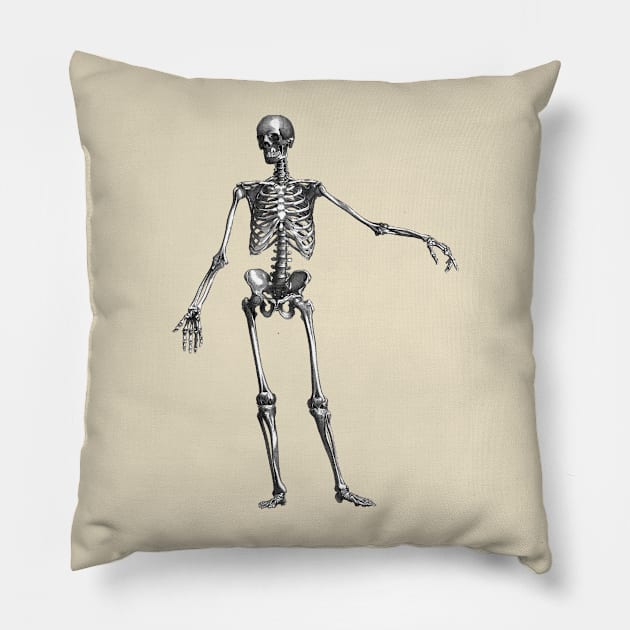 Funny weird skeleton torso Halloween Pillow by RedThorThreads