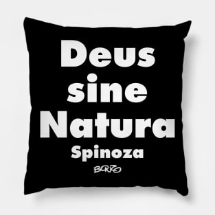 Spinoza 1 Pillow