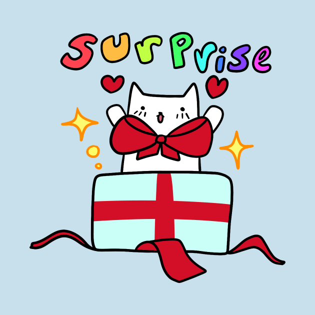 Surprise Birthday Cat by saradaboru