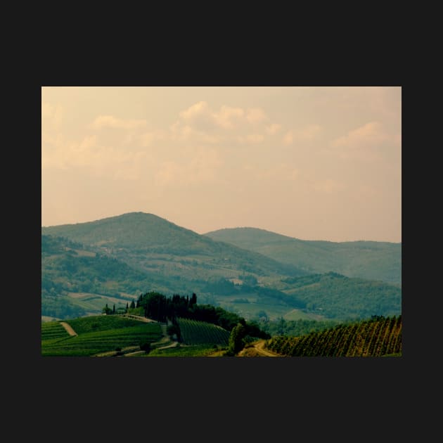 A Tuscan View by rosedew