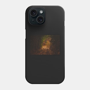 Autumn trail Phone Case