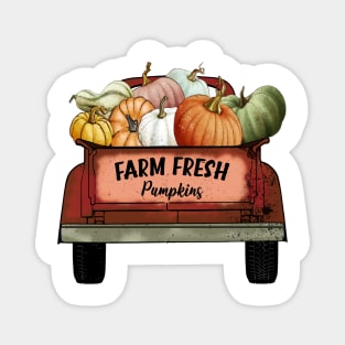 Farm fresh pumpkins Magnet