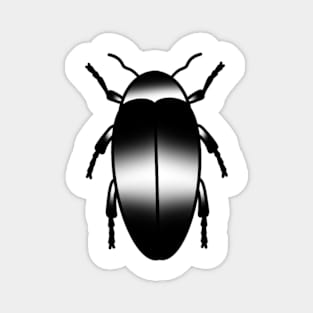 Beetle Magnet